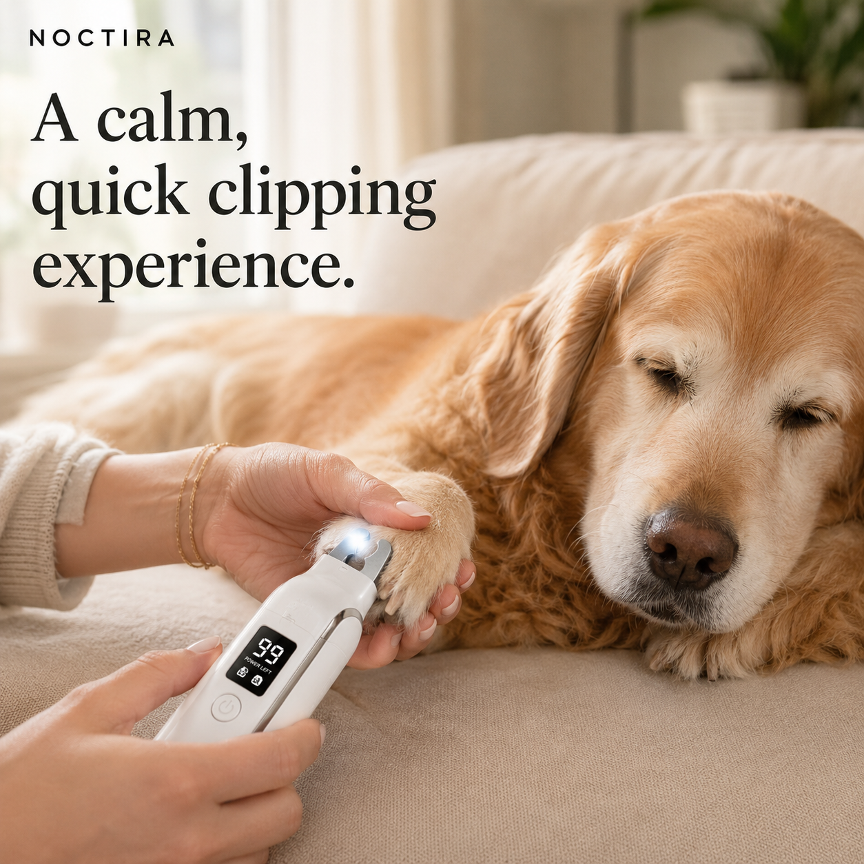 Noctira 2-in-1 Dog & Cat Nail Clipper + Grinder — Quick-Sensor Trimmer for Senior & Anxious Pets